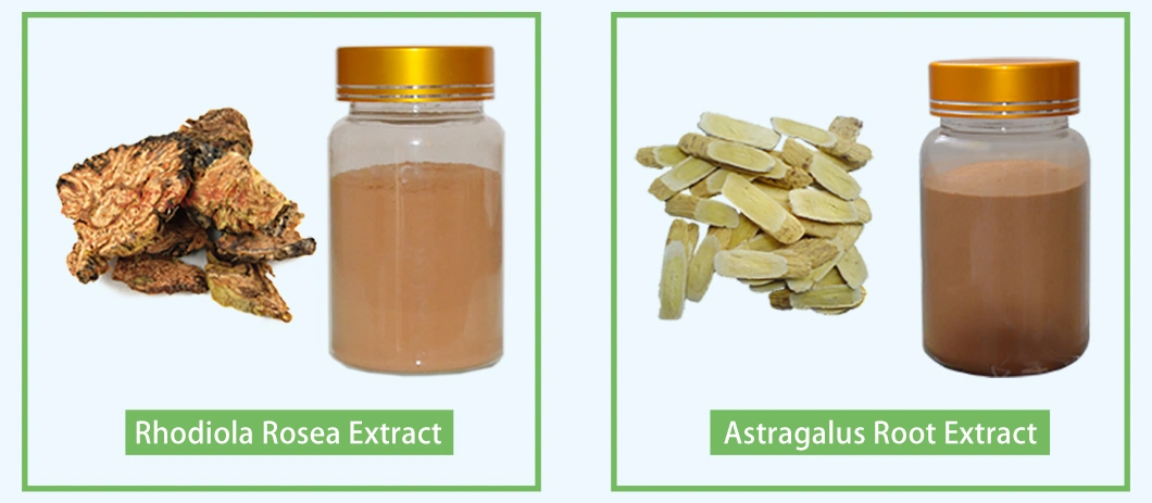 CAS 501-36-0 Popular Health Care Food Synthesis Pure Trans-Resveratrol Powder Polygonum Cuspidatum Root Extract