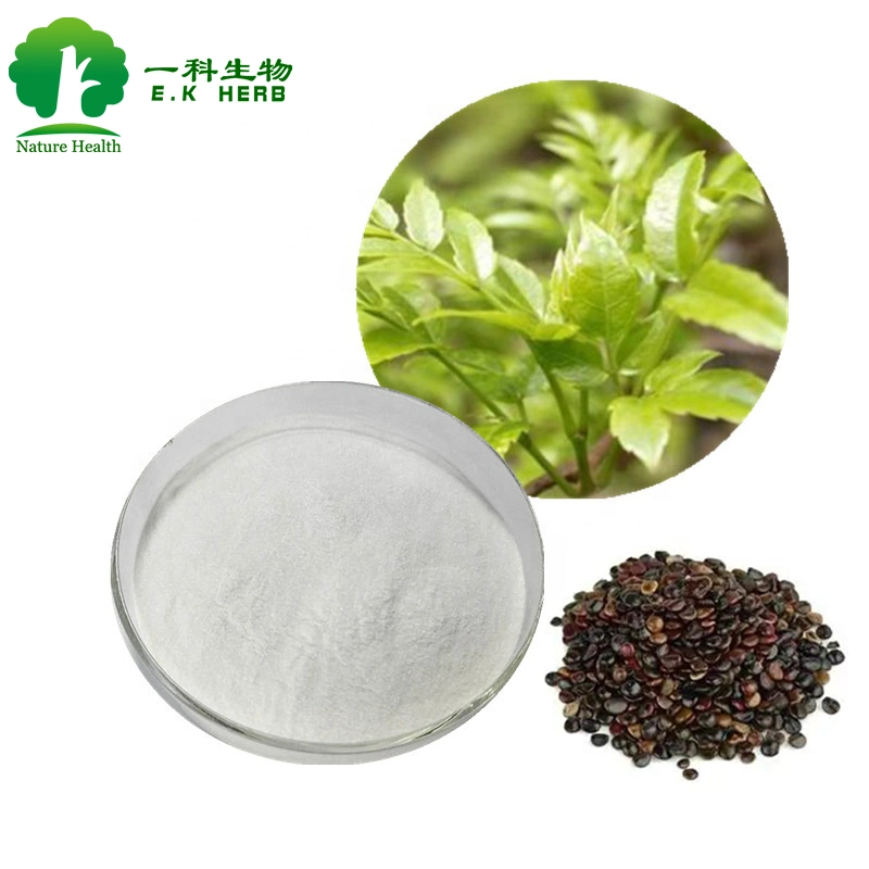 E. K Herb Natural Burdock Root Extract Arctiin Vine Tea Extract Schisandra Chinensis Extract