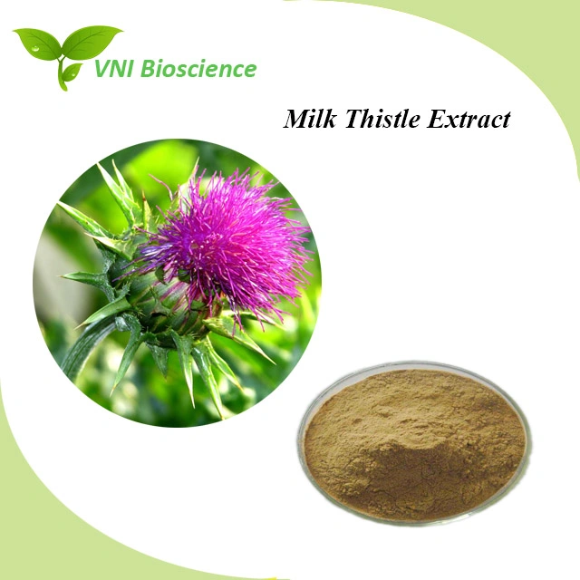 Kosher Halal Certified 80% Silymarin 30% Silybin Isosilybin Milk Thistle Extract