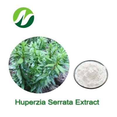 Высокий стандарт 1%-99% экстракта гиперзина и Huperizia Serrata.
